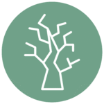 Pictogramme représentant un arbre dénudé et déséquilibré, symbolisant un arbre malade ou affaibli