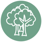 Icône de plusieurs arbres représentant un parc ou un espace vert