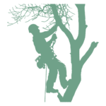 Illustration d’un élagueur en action dans un arbre, représentant le service d’élagage et d’abattage de La Clé Française